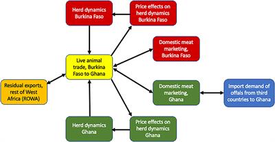 The Competitiveness of Beef Exports From Burkina Faso to Ghana